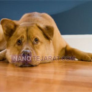 کفپوش تیمبرلند کفپوش تیمبرلند